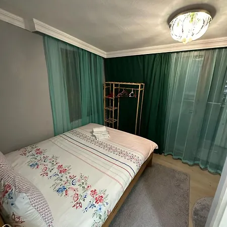 Nelly Guest house *