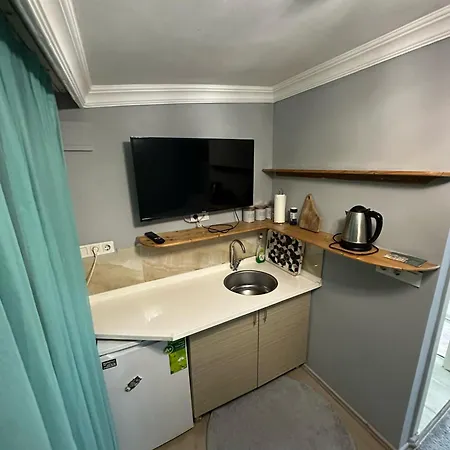 Nelly Guest house *