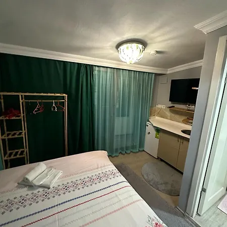 Nelly Guest house *